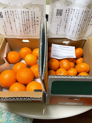 みんなの投稿の画像