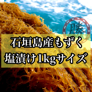 沖縄県石垣島産もずく　塩漬け1kgサイズを（3kg〜）