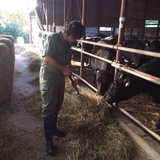 小栗雅人 | 株式会社　平野畜産