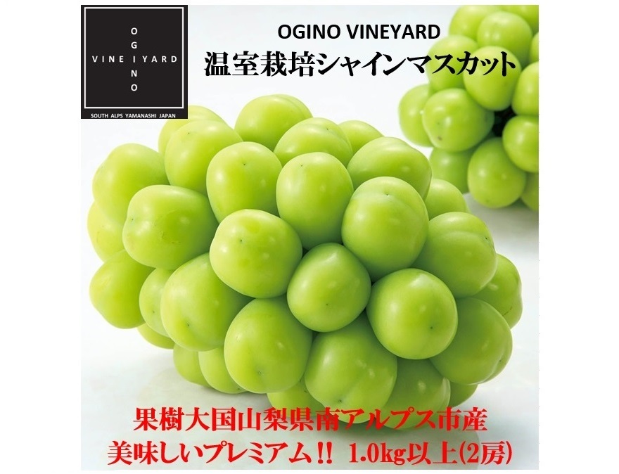 皮ごとパクリ!とっても甘くて美味しいプレミアム‼ 温室栽培シャインマスカット |果物の商品詳細|ポケットマルシェ|産直(産地直送)通販 旬の果物・野菜・魚介をお取り寄せ お買い得!高級シャインマスカット 山梨県南アルプス市産