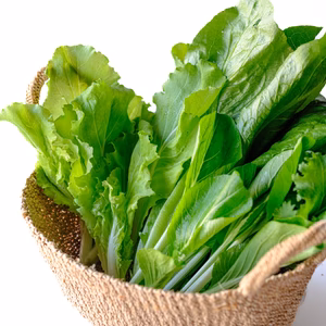 阿蘇野菜のスムージーセット