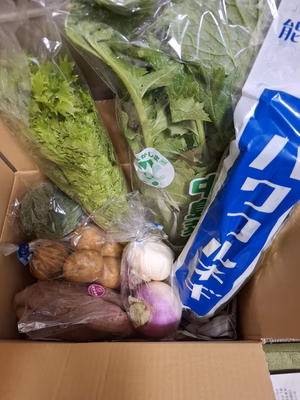 みんなの投稿の画像