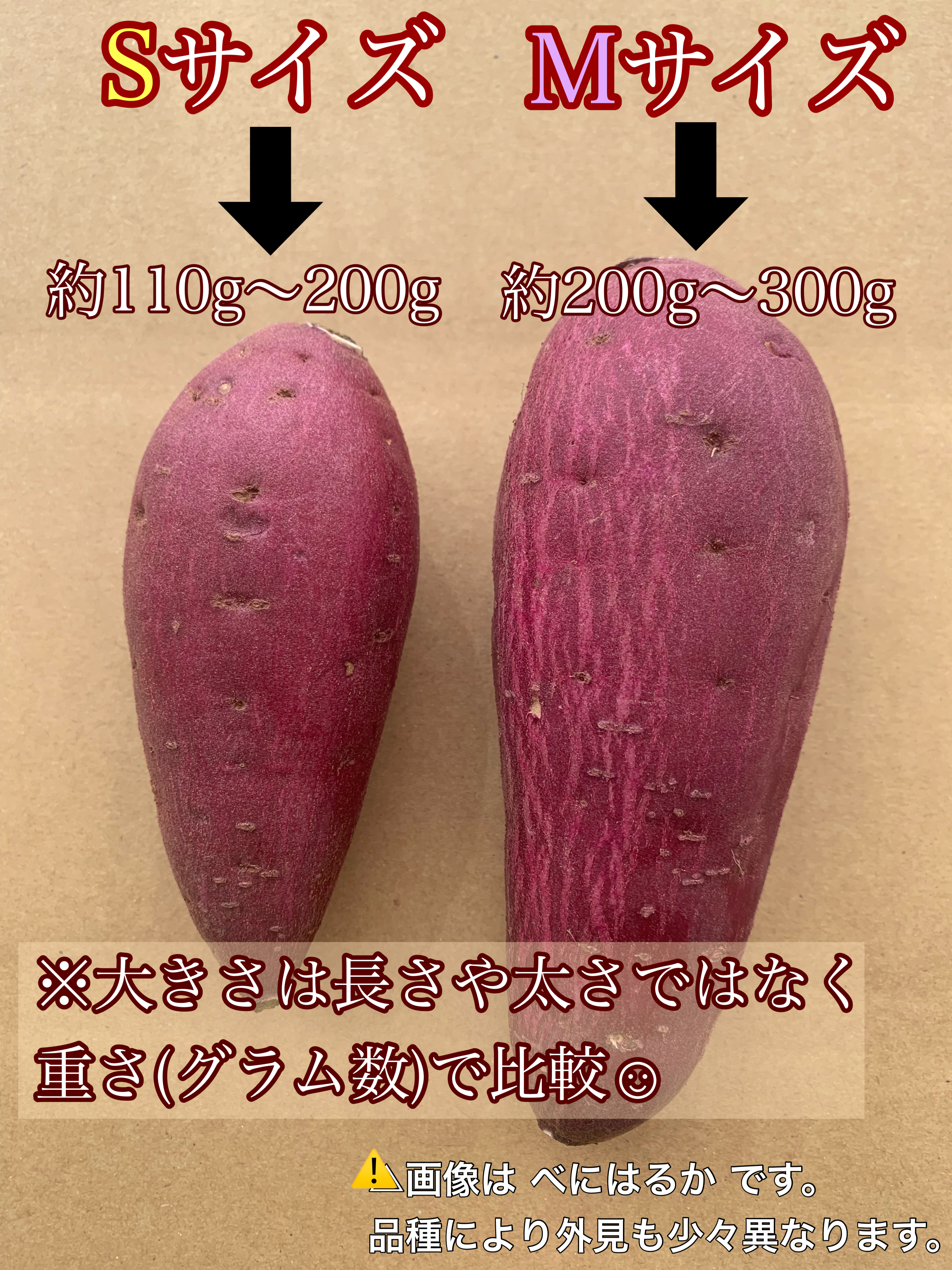 紅あずま　旬の果物・野菜　・魚介をお取り寄せ　さつまいも　】千葉県産　S•M混合サイズ　紅あずま｜野菜の商品詳細｜ポケットマルシェ｜産直(産地直送)通販