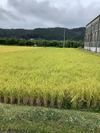 ミロク環境白米.(農薬・化学肥料等使用ゼロ)