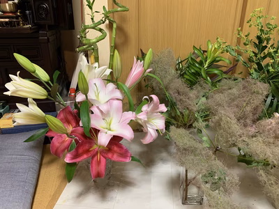 みんなの投稿の画像