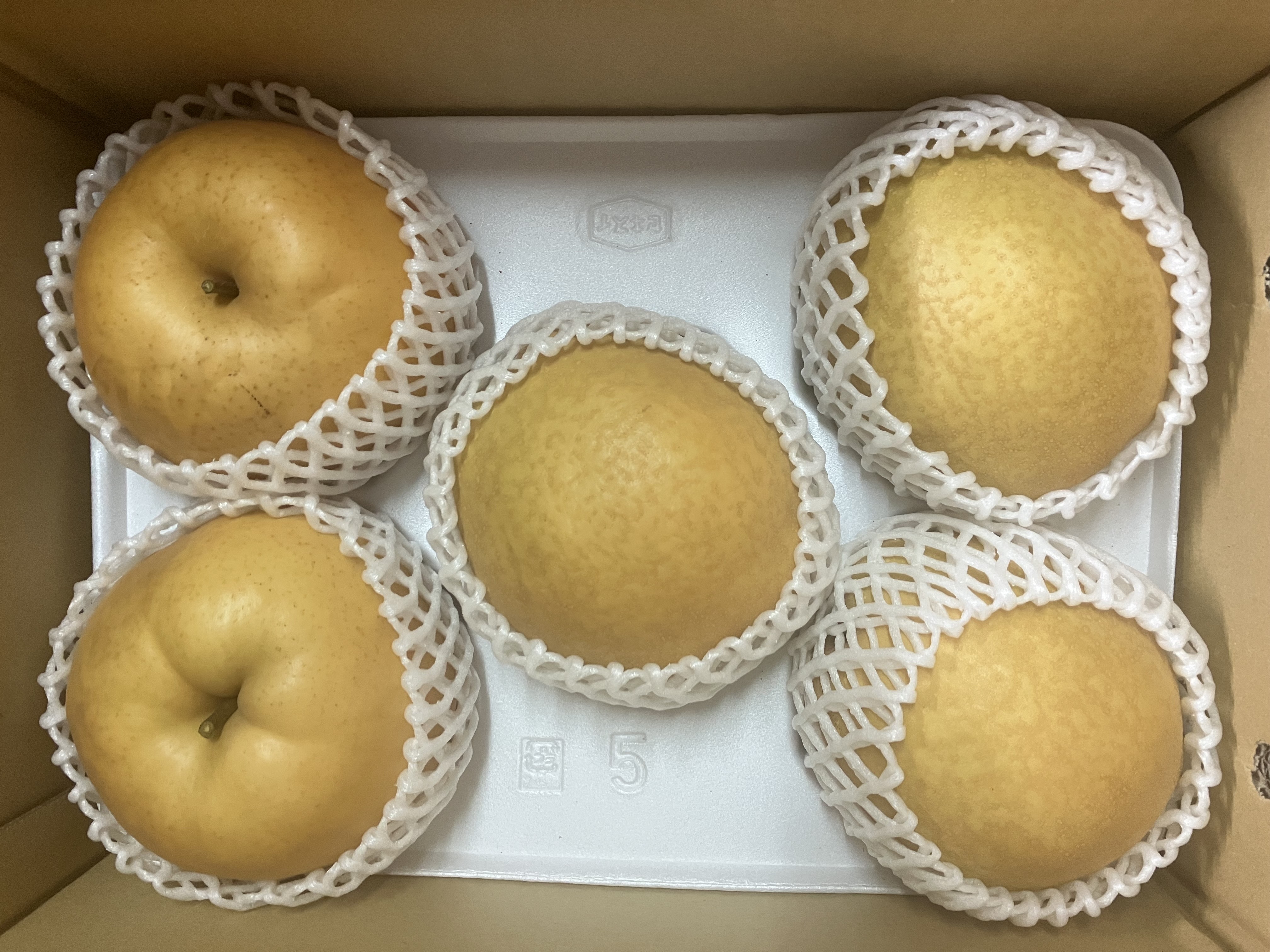 [冬ギフトにも♪]鳥取県産 冬の梨食べ比べセット(王秋・あたご) 約2kg(2玉)