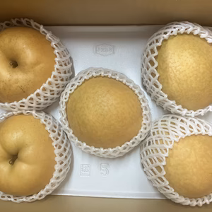 鳥取県産 冬の梨食べ比べセット（王秋・あたご）【冬ギフトにも♪】