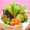 和らぎ農法　わっさんの食いしん坊野菜　旬の野菜便(中)【5～7種類】