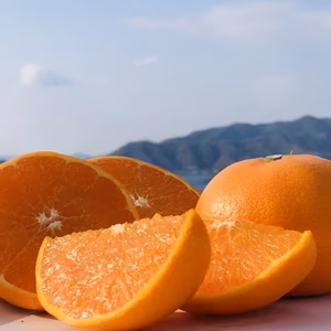 農園自慢のせとか 家庭用