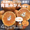 ジュースに最適！ご家庭用の青島みかん【農薬不使用】