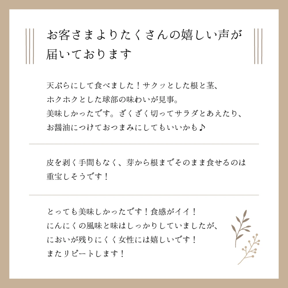 新物【送料込500円】食べれば分かる！新感覚スプラウトにんにく鉄子 発芽にんにく