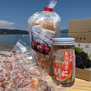 冷凍　夏の海産物セット　塩ウニ　剥きホヤ　蒸しホヤ