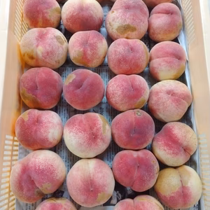 【B級品中のB級品】ハネ出し桃