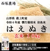 【山形県産】慣行栽培米 はえぬき 岩魚米（玄米10kg 令和４年産）