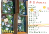 淡路島おまかせ野菜セット80size100size(クール便)