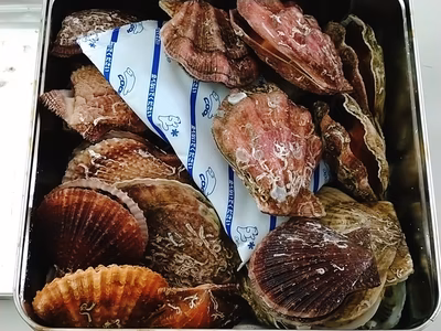 みんなの投稿の画像