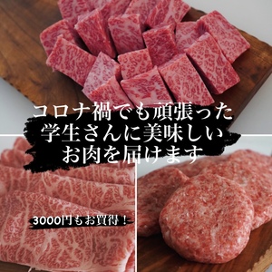学生さん応援特売！牧場先生の3点セット③【3000円もお買得！】