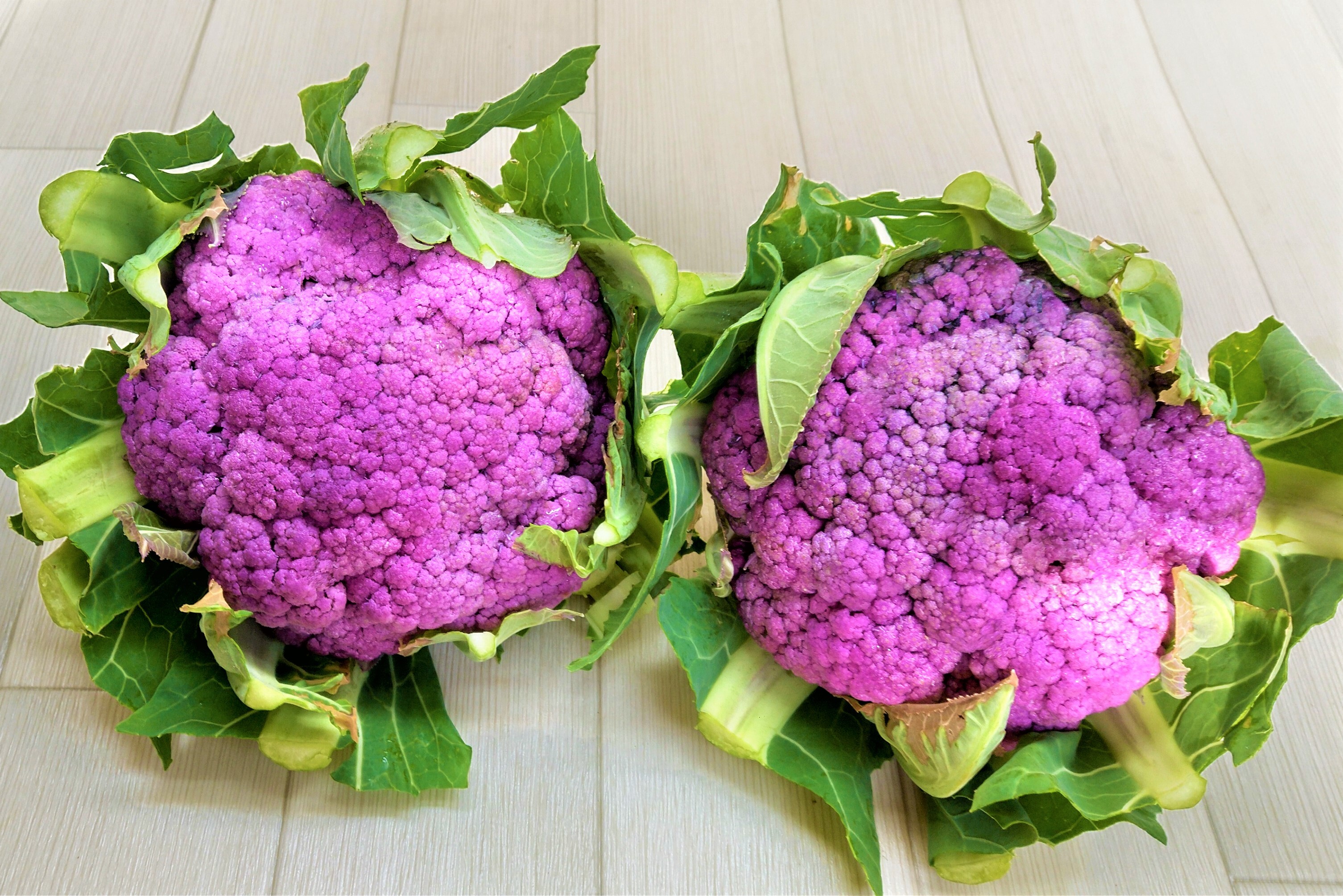 脇芽の紫ブロッコリー 約500g 専門店 - 野菜