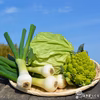 《ベジコレ》淡路島産島のトレンド野菜コレクション!!　お任せセット