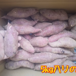 小さい紅はるか(京都産) ひとつ80～150g