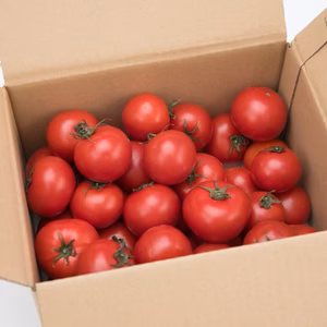 予約商品【プレミアムトマト”まいひめ物語”　２㎏家庭用】糖度8.5度以上