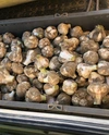 【農薬・化学肥料不使用栽培】青森県産　にんにく　５００ｇ