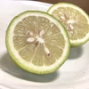 5箱限定！【1キロ分無料】グリーンレモン　ご家庭用