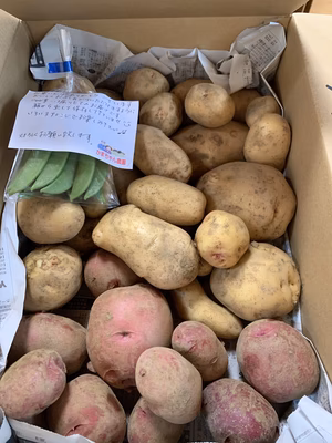 みんなの投稿の画像