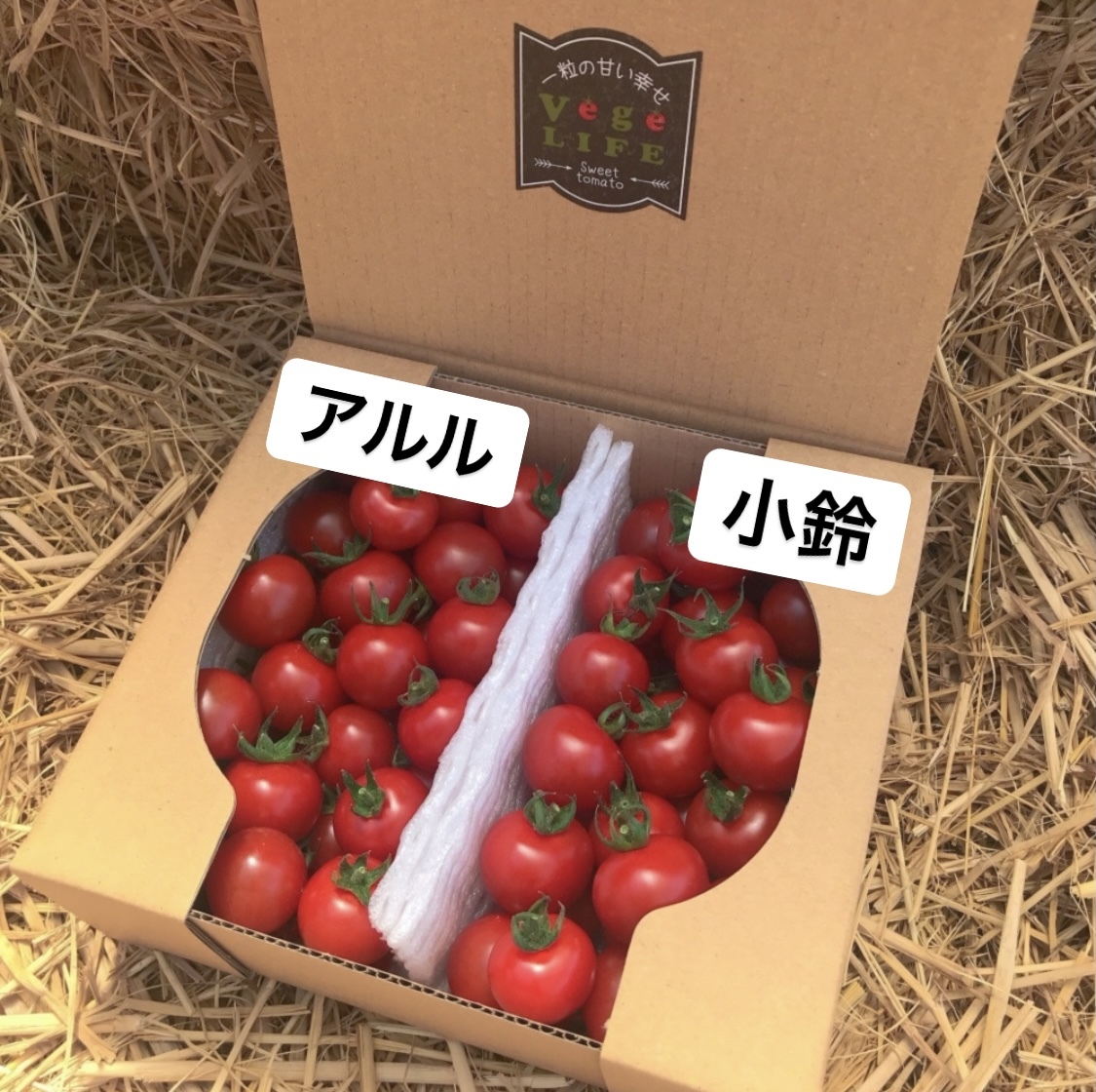お試しBOX】リピーター続出‼︎ 高糖度ミニトマト 食べ比べ | 農家漁師から産地直送の通販 ポケットマルシェ