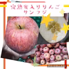 訳あり 山形県産 完熟 蜜入り りんご【サンふじ4.5㎏～】