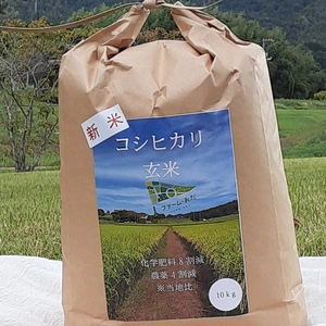 令和４年産コシヒカリ玄米10kg（化学肥料８割減・農薬4割減）