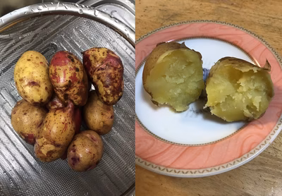 みんなの投稿の画像