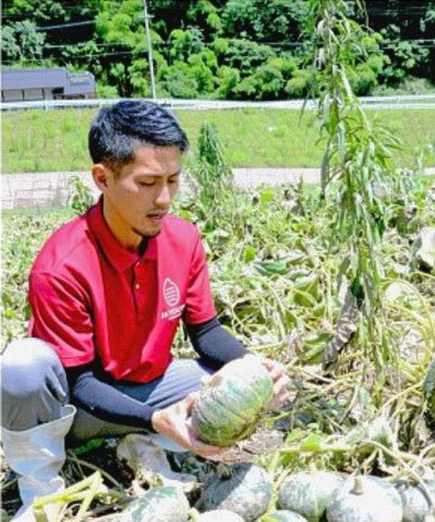 Farm Shimizuの通販 清水啓介さん 農家漁師から産地直送の通販 ポケットマルシェ