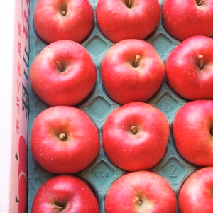 かぐや姫印　特別栽培完熟秋茜りんごMサイズ５ｋｇ