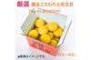 【新発売】厳選 園主こだわり土佐文旦7kg大小混合【家庭用】