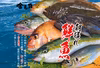 【津軽海峡直送便❗】船上活〆朝どれ鮮魚BOX❗