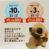 【7周年福袋】3種MIXタマゴ×40個！