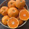 サプラ伊豆！爽やかな温州みかん【減農薬】