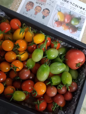 みんなの投稿の画像