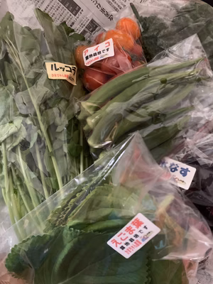 みんなの投稿の画像