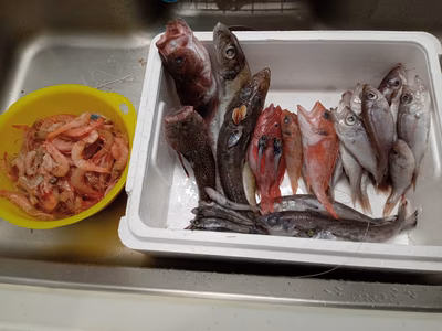 みんなの投稿の画像