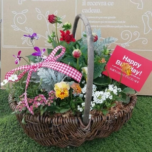 プレゼントに！お花たっぷりバスケットLサイズ[35センチ程度]