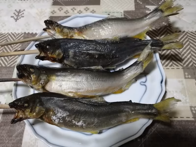 みんなの投稿の画像