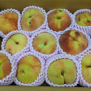 桃　訳あり現品限り