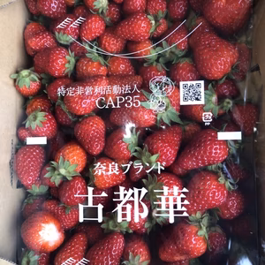 奈良県産ブランドいちご古都華お得用(ジャム用等)1キロ箱入りクール便