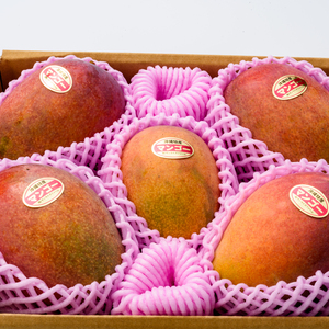 【ご自宅用】アップルマンゴー 約2kg（4~6玉）