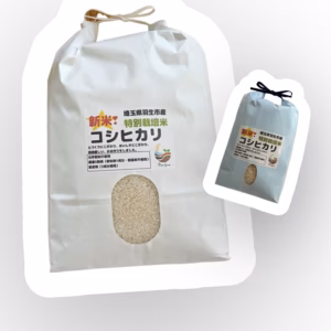 Pino farm「別格コシヒカリ」～R7年産特別栽培米  コシヒカリ～