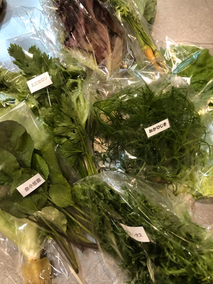 みんなの投稿の画像