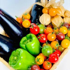 産地直送!! お野菜の詰め合わせセット