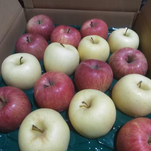 サンふじ金星詰め合わせ5キロ